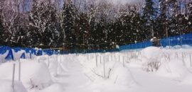 雪に覆われた園地